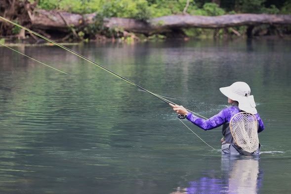 Bennett Spring's fishing